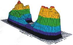 inside a shoe with insole
